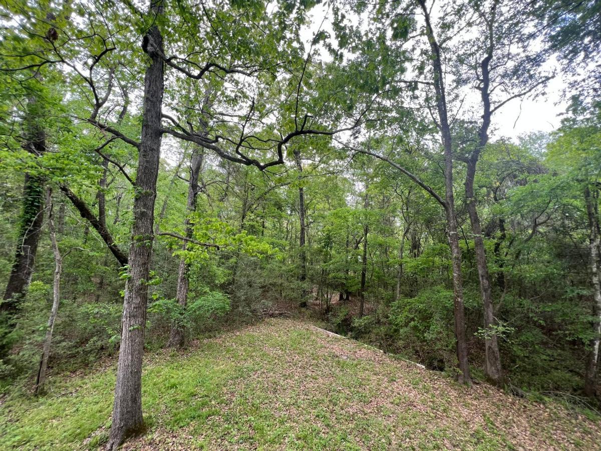 2 Bdrm Treehouse Hideout- Lake Conroe With Boat Ramp Montgomery Exterior photo